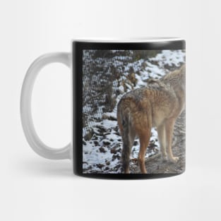 Coyote Mug